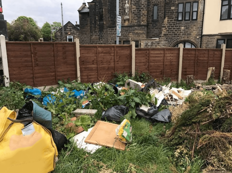 overgrown garden clearance