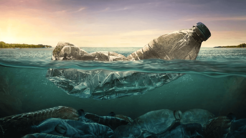 Plastic‑Free Future